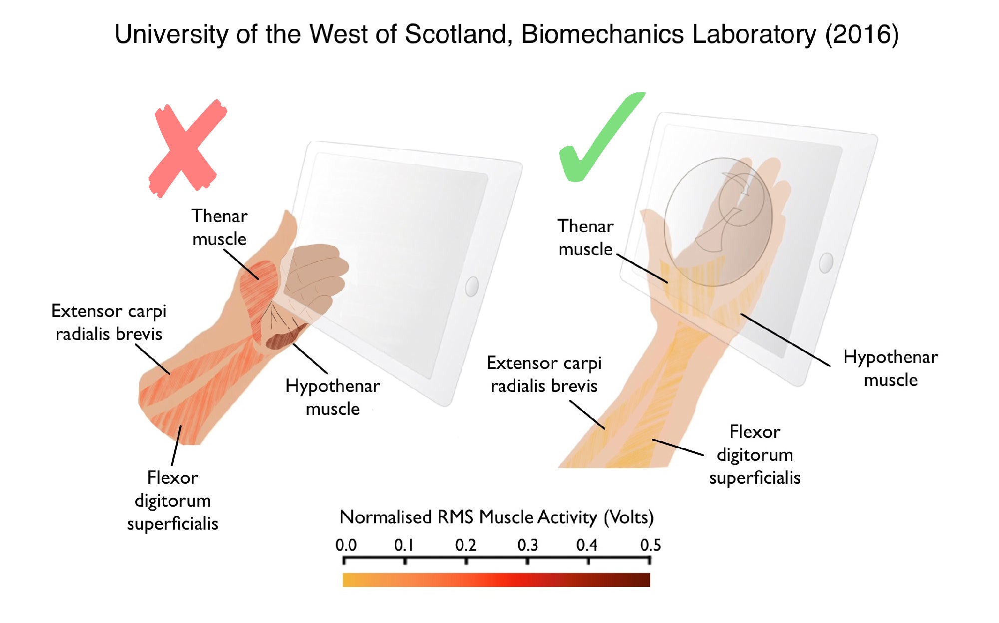 G-Hold® | Ergonomic Tablet Holders | Phone Holders 